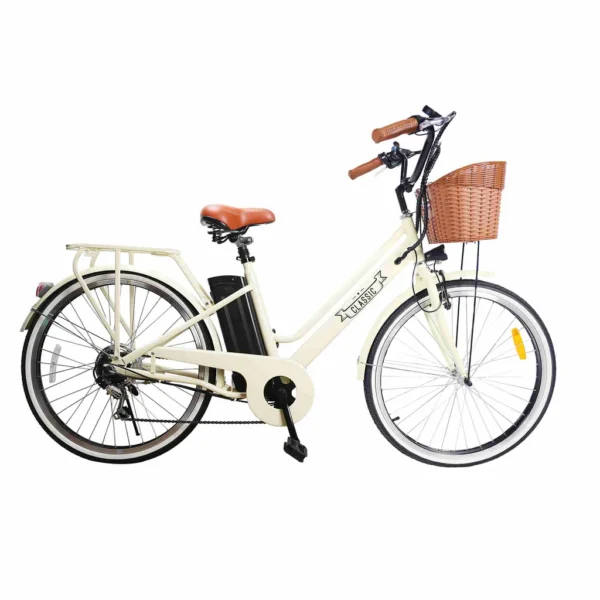 standard-e-bikes for burning man